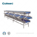 /msite/products/detail/productid/62258504/id/1353990.html